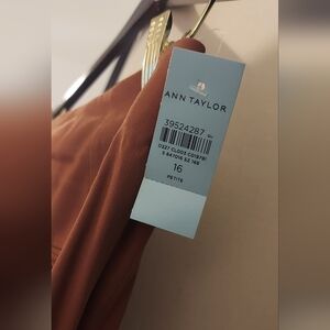 Ann Taylor Rust Dress - Size 16 Petite